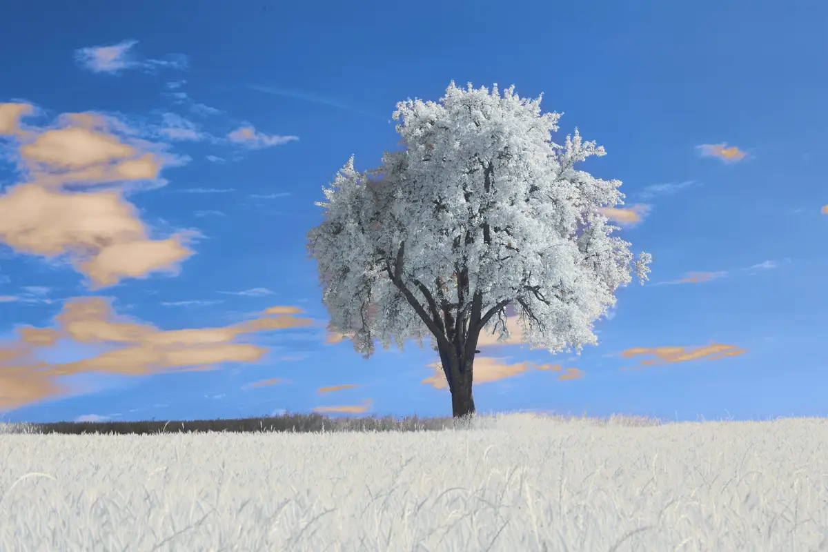 Meta Ads bez przepalania kasy